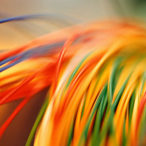 A blurry picture of some colorful feathers.